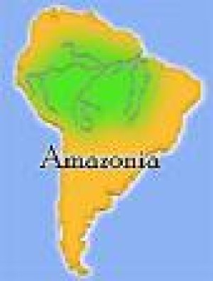 AMAZONIA: ACUERDO DE GREENPEACE CON FRIGORIFICOS