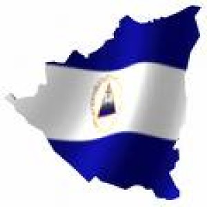 NICARAGUA: PRODUCCION DE CARNE Y GRANOS SUPERARA EXPECTATIVAS