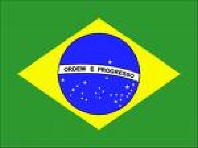  BRASIL: LA CRISIS LLEVA A REDUCIR PRODUCCIÓN Y EXPORTACIÓN DE POLLO