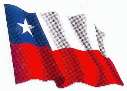CHILE: ACUERDO CON SINGAPUR ELEVARA EXPORTACIONES DE CARNE DE CERDO