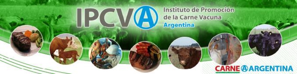 COMIENZAN LOS SEMINARIOS DEL  IPCVA