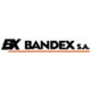 BANDEX ESTRENA SITIO WEB