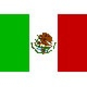 MEXICO: USAN AVES CENTINELA PARA CONTROLAR FOCO DE GRIPE AVIAR EN CHIAPAS