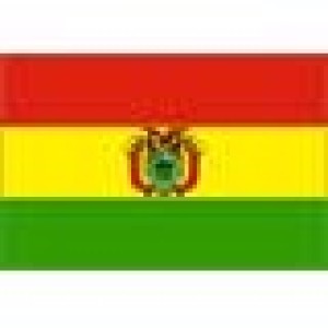 AFTOSA: BOLIVIA SE REBELA ANTE EL COMITÉ VETERINARIO DEL CONO SUR