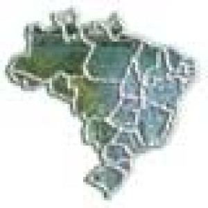 BRASIL: PODRIA CRECER EL EMBARQUE DE CARNE