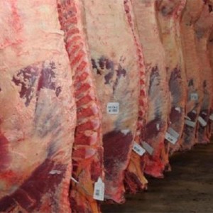 La carne de bovino argentina ingresa al mercado mexicano luego de 20 años