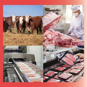 Red Alimentaria abrió inscripción a la 7a Jornada de Ciencia y Tecnología Aplicada en Carne Bovina