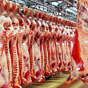 En marzo el valor de las exportaciones de carne de vacuno de Argentina creció un 9%