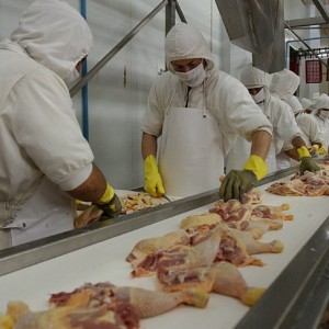 La Unión Europea concluyó la auditoría a los sistemas de control de carne aviar de Argentina