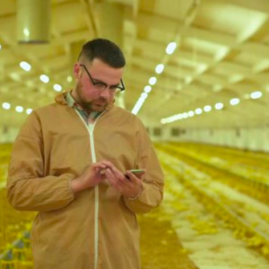 La tecnología 4.0 transforma el procesamiento avícola