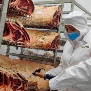 Reducción de patógenos en carnes y bienestar animal: 2 componentes para la seguridad alimentaria
