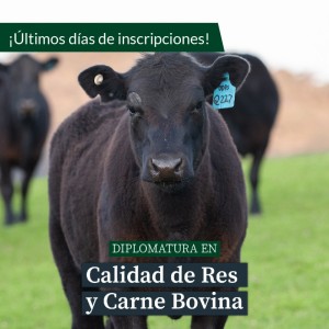 Diplomatura Especializada en Calidad de Res y Carne Bovina