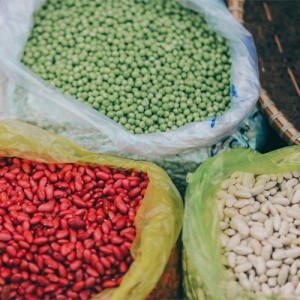 INTI y Tomorrow Foods obtienen proteínas vegetales para análogos cárnicos