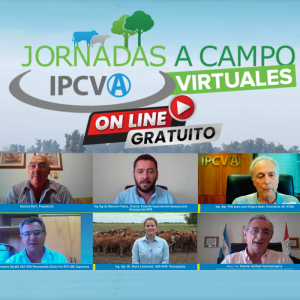 Reviva en video la jornada a campo virtual del IPCVA en Reconquista