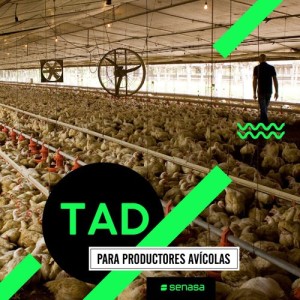 Senasa suma cuatro trámites de la producción avícola a la plataforma digital TAD