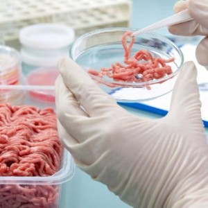 Los 4 retos tecnológicos para la transformación de carne de laboratorio a escala industrial