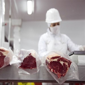 Las exportaciones de carne vacuna llegaron a las 741 mil toneladas en octubre