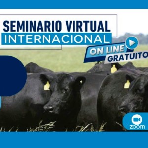 Seminario Internacional Virtual del IPCVA: El Desafío de la Carne Vacuna en el Mundo Post COVID-19
