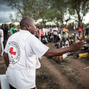 Marel se asocia con la Cruz Roja para mejorar la seguridad alimentaria