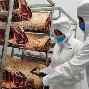 Mafrica y el IRTA optimizan el sistema de maduración de la carne de bovino