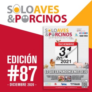 ¡YA SALIÓ UNA NUEVA EDICIÓN DE LA REVISTA SOLO AVES & PORCINOS Nº86!