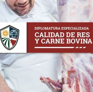 Diplomatura Especializada en Calidad de Res y Carne Bovina