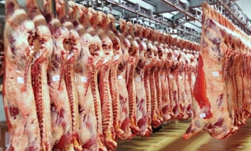 México elimina los aranceles a la importación de carnes y alimentos vivos