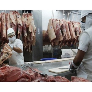 Daniel Urcía: “El troceo desperdicia carne, traerá aumentos en góndola y es menos higiénico”
