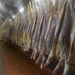 Estados Unidos aprobó la auditoría al sistema de inspección de carnes bovinas argentino