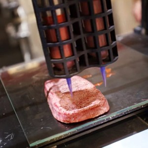 Bioimpresión 3D ¿el futuro de la carne?