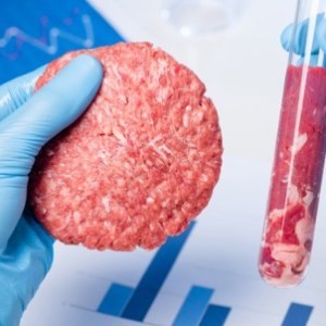 Beneficios y desafíos de la producción de carne celular