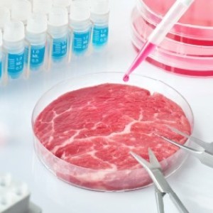 4 retos tecnológicos para la transformación de carne de laboratorio a escala industrial