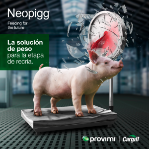 Provimi Presenta Neopigg® Nueva Generación – Más Kilos en menos tiempo para la recría de cerdos