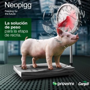 Provimi presenta una nueva solución para recría de cerdos