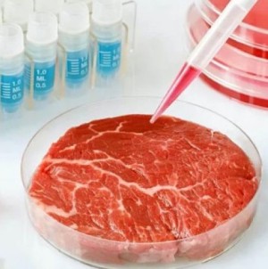 Ventajas y desventajas de la carne cultivada en laboratorio