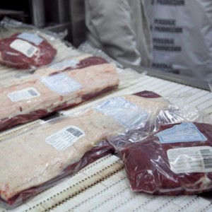 Argentina abrió dos nuevos mercados para la exportación de carne bovina y de genética bovina