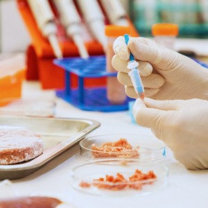 INTA desarrolla método para garantizar la autenticidad de la carne vacuna