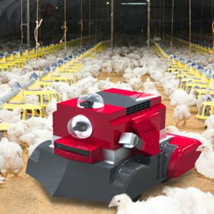 Inteligencia artificial y robótica de enjambres: la evolución de la avicultura