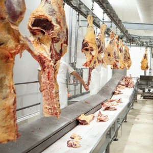 Argentina busca abrir el mercado para la exportación de carne bovina con hueso a Israel