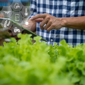 La Asoc. Red Agroalimentaria integra la mesa Público-Privada que organizará la V Jornada Alimentos