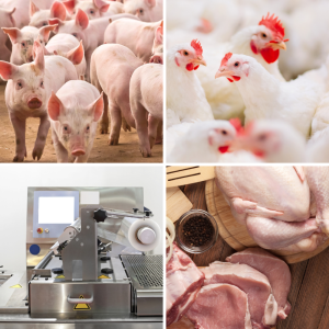 Conozca a los protagonistas de las industrias avícola y porcina