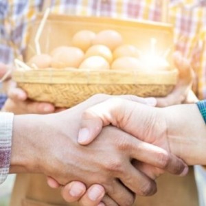 The Food Tech y Red Alimentaria consolidan una alianza estratégica de cooperación