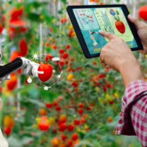 FoodTech: La revolución tecnológica que transforma la industria alimentaria hacia la sostenibilidad
