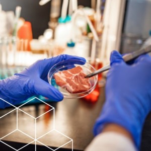 En noviembre participe de la 10ma Jornada de Ciencia y Tecnología Aplicada en Carne Bovina