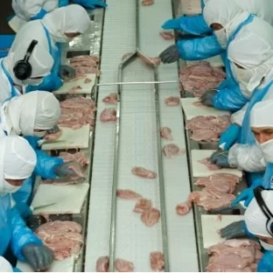 Argentina logró la apertura del mercado de Corea para la exportación de carne aviar