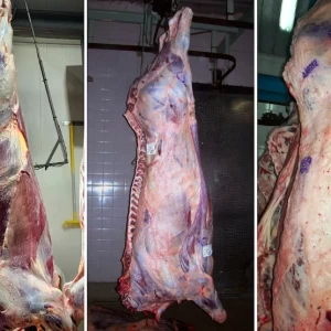 Factores que influyen en la calidad de la carne