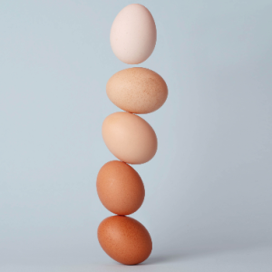 Modificando el Tamaño del Huevo: Principales Factores