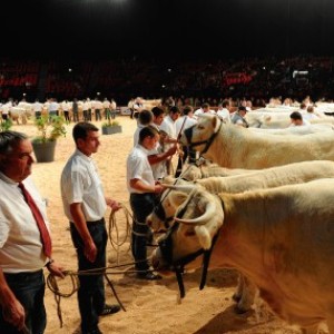 SOMMET DE L’ELEVAGE 2019 EXHIBIRÁ LOS AVANCES DEL AGRO Y LA GANADERÍA FRANCESAS