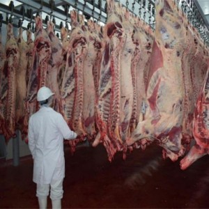 El gobierno argentino impuso nuevas medidas para la exportación de carne vacuna hasta el año 2023