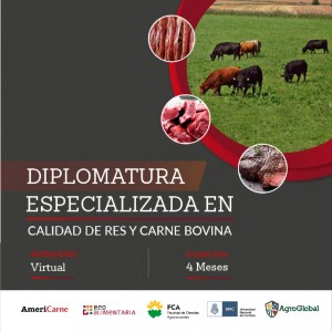 Nueva edición de la “Diplomatura Especializada en Calidad de Res y Carne bovina“